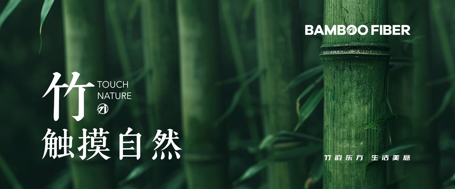 易優(yōu)模板庫(kù)
